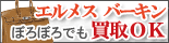 �ڂ�ڂ� �G�����X �o�[�L��