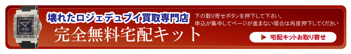 壊れたロジェデュブイ宅配キット申込ボタン