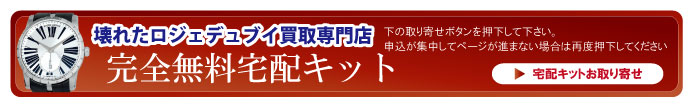 壊れたロジェデュブイ宅配キット申込ボタン