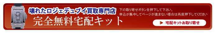 壊れたロジェデュブイ宅配キット申込ボタン